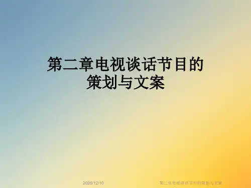 第二章电视谈话节目的策划与文案