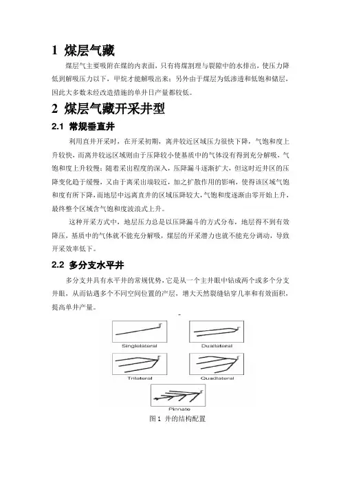 煤层气藏井网部署