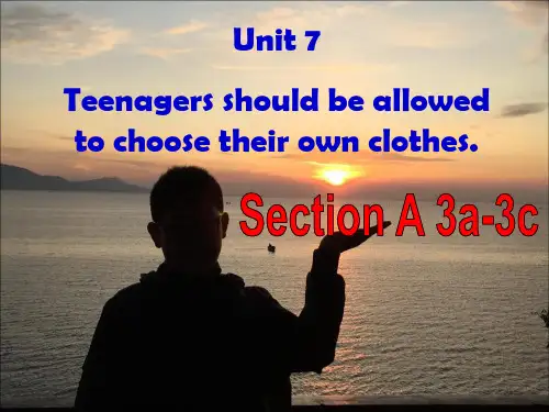 人教英语九年级上册Unit7 Section A 3a-3c(共30张PPT)