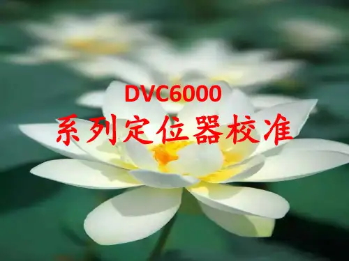 DVC6000系列定位器475手操器调试 ppt课件