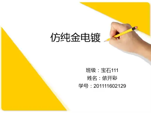 仿金电镀.PPt