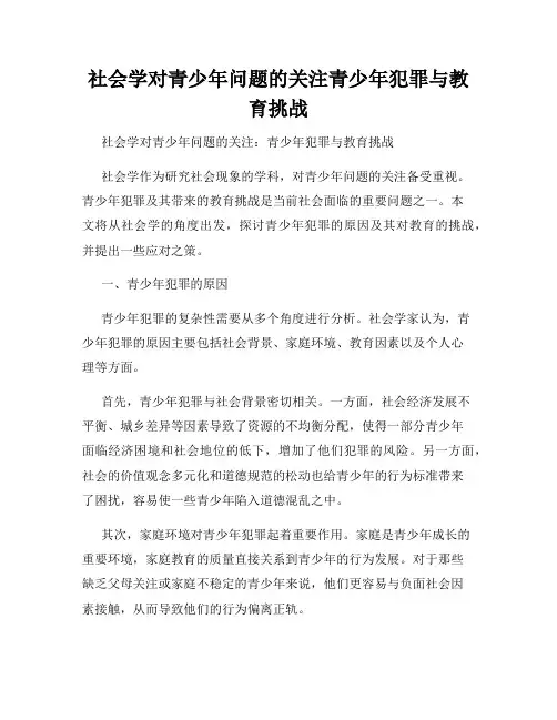 社会学对青少年问题的关注青少年犯罪与教育挑战