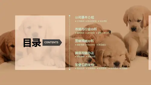 宠物店创业ppt幻灯片课件