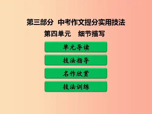 广东省中考语文二轮复习 第三部分 中考作文提分实用技法 第四单元 细节描写课件 新人教版