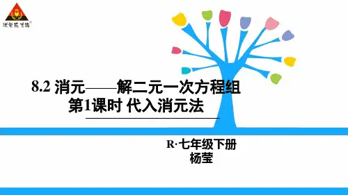 8.2第2课时 代入消元法