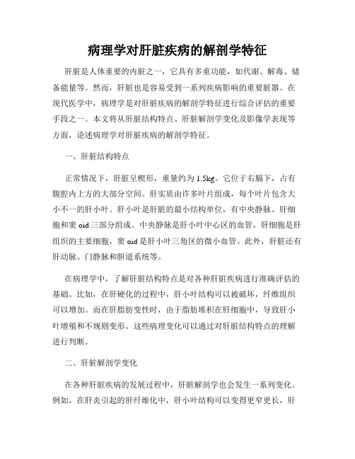 病理学对肝脏疾病的解剖学特征