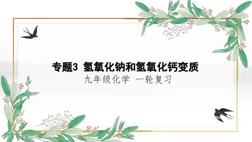 专题3+氢氧化钠和氢氧化钙变质-【学以致用】2023年中考化学一轮专题复习课件(全国通用)