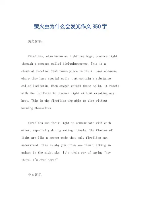 萤火虫为什么会发光作文350字
