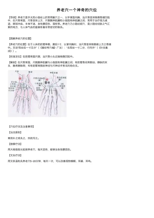 养老穴一个神奇的穴位