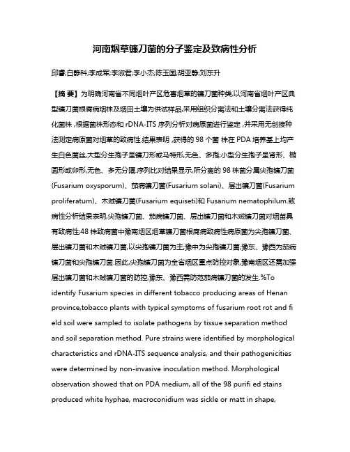 河南烟草镰刀菌的分子鉴定及致病性分析