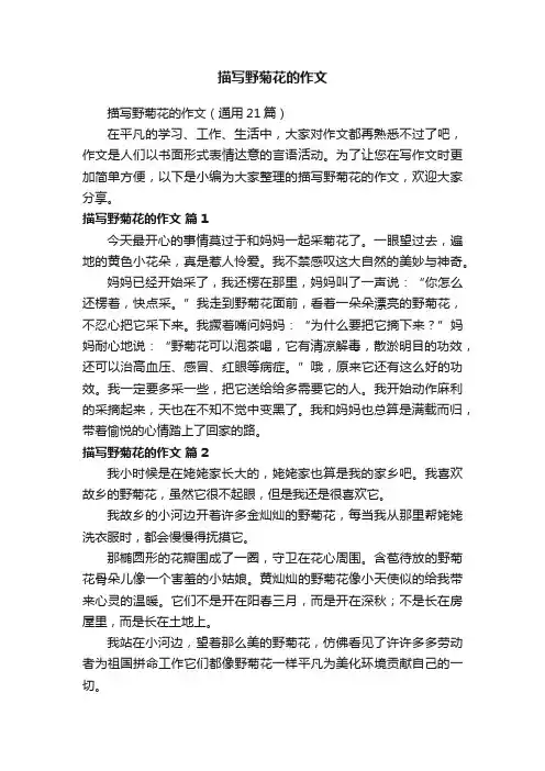 描写野菊花的作文（通用21篇）