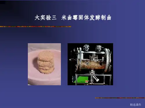 大实验三米曲霉固体发酵制曲