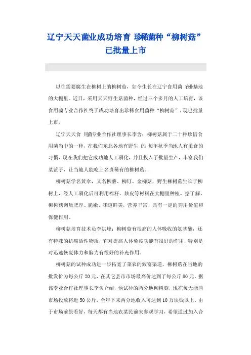 柳树菇珍稀菌种