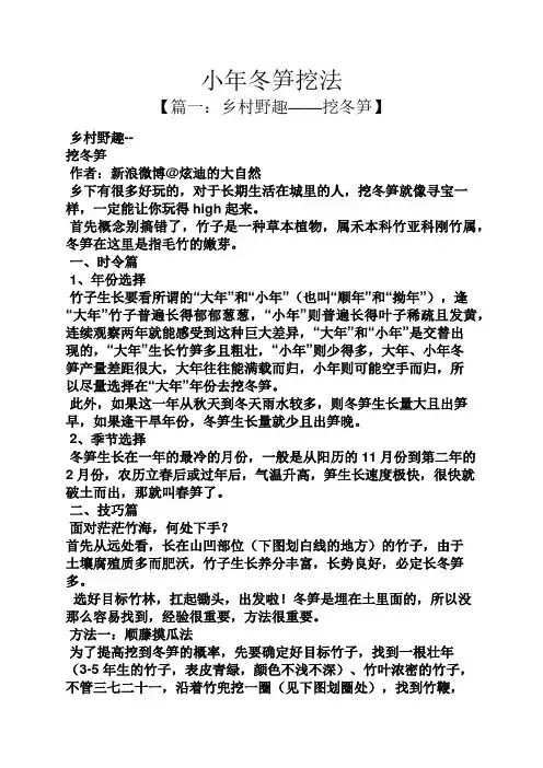 小年冬笋挖法