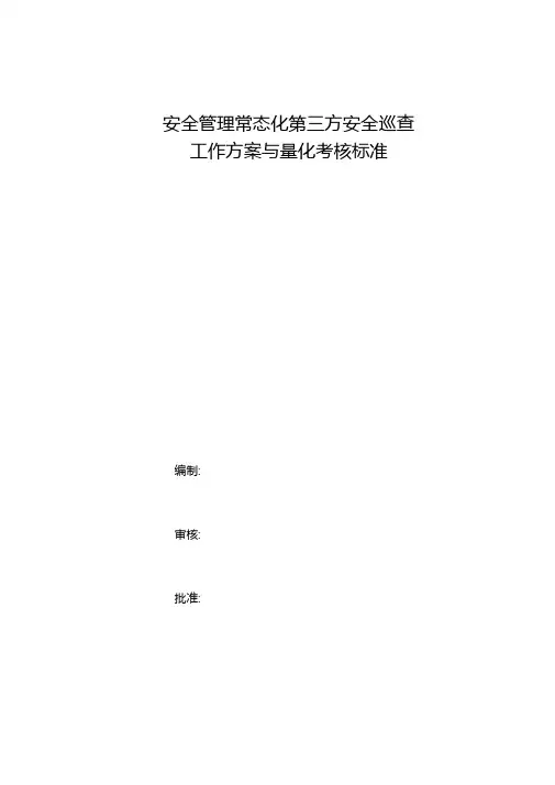第三方安全巡查工作方案
