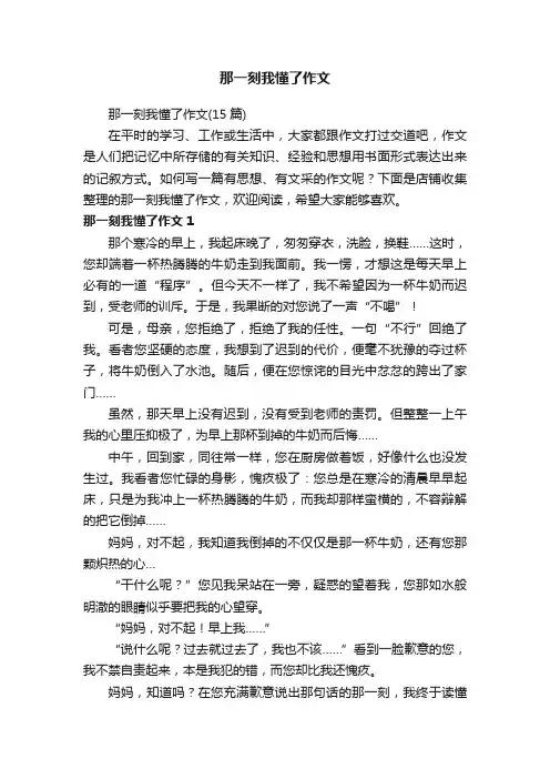 那一刻我懂了作文