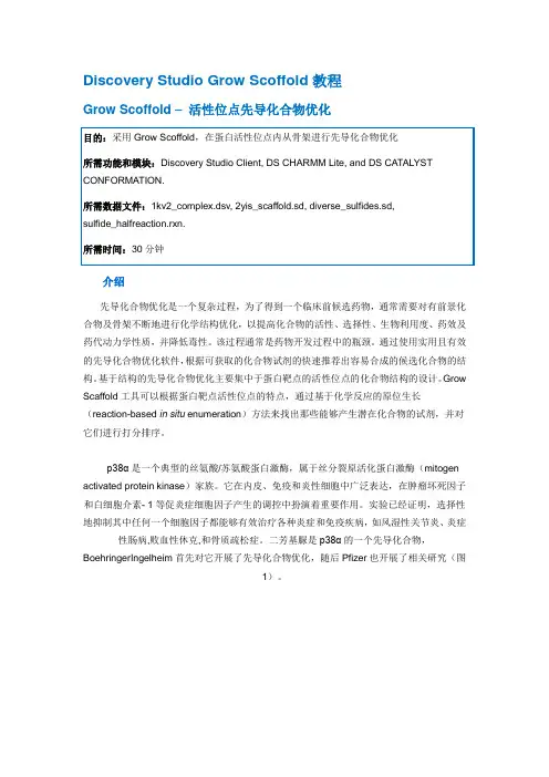 Discovery Studio官方教程--药物设计之片段生长
