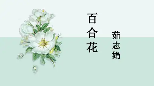 《百合花》ppt课件