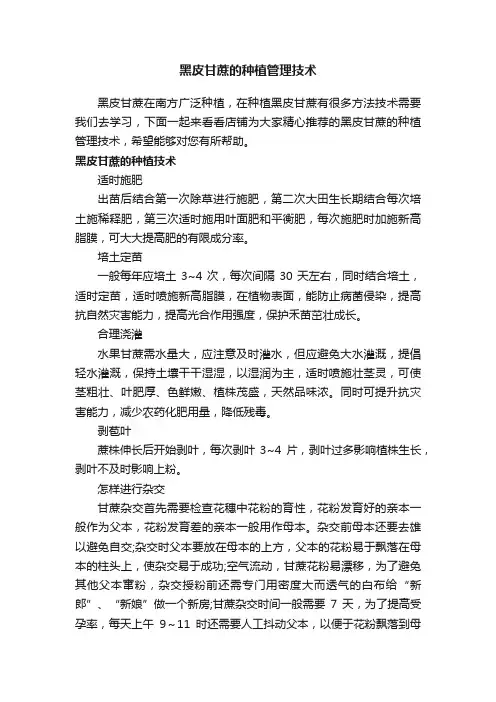黑皮甘蔗的种植管理技术