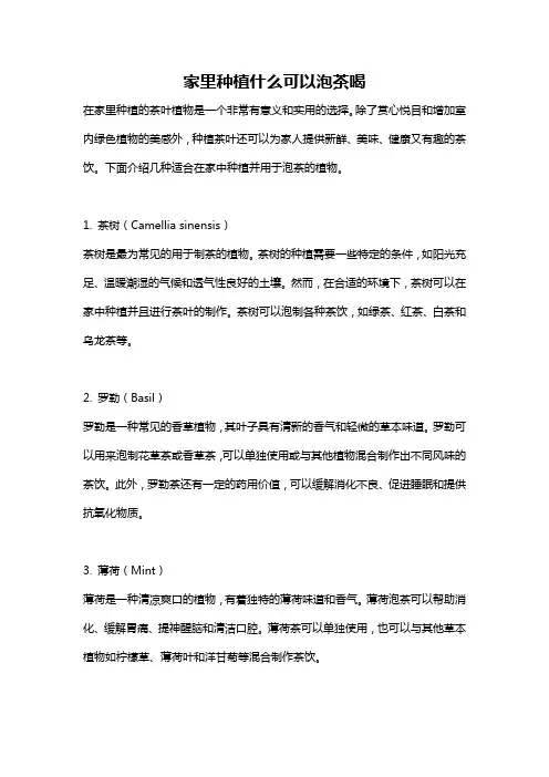 家里种植什么可以泡茶喝