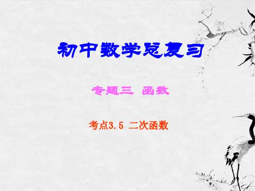 广东省广州市白云区初中数学总复习《考点3.5 二次函数》课件