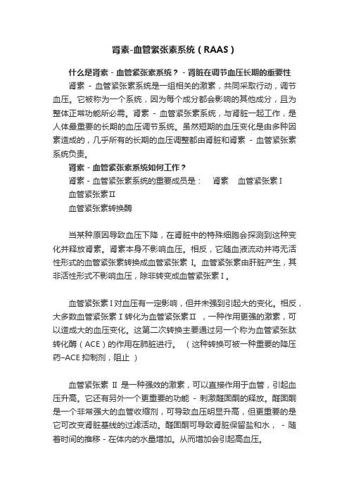 肾素-血管紧张素系统（RAAS）