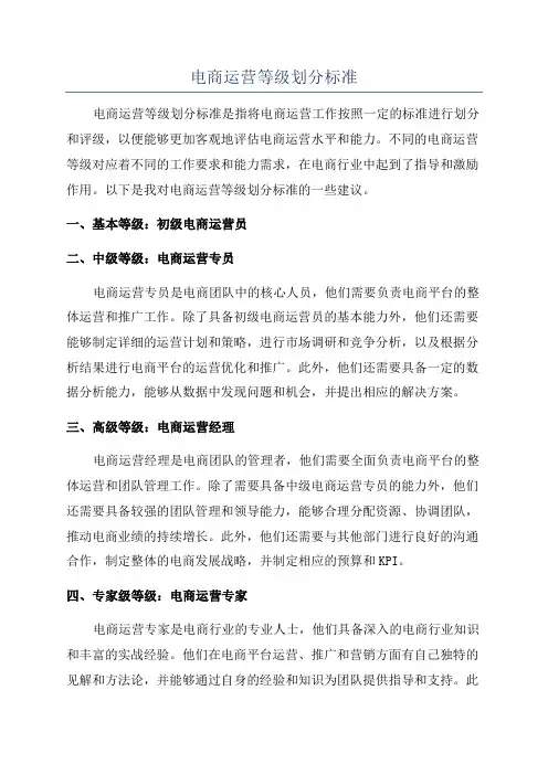 电商运营等级划分标准