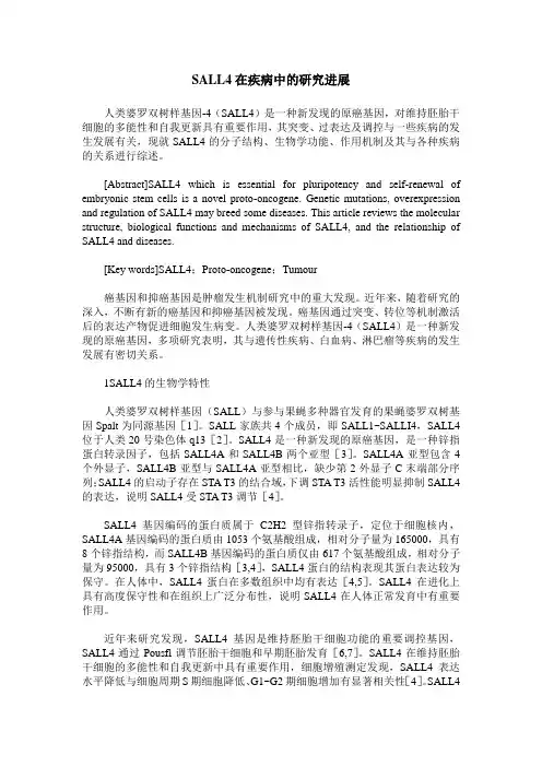 SALL4在疾病中的研究进展