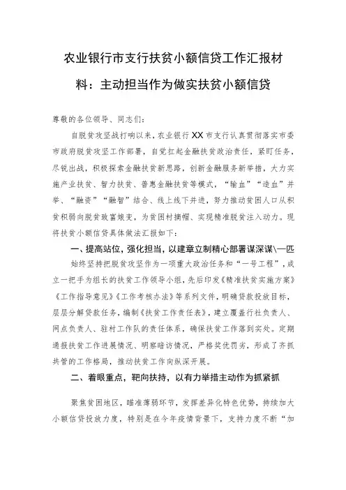 农业银行市支行扶贫小额信贷工作汇报