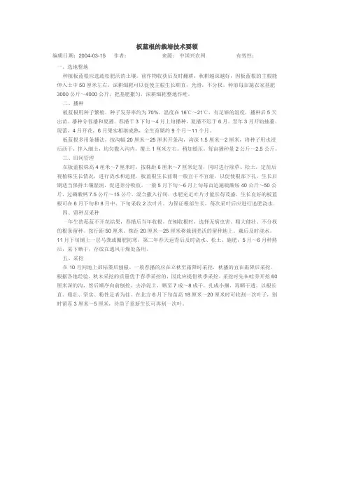 板蓝根的栽培技术要领