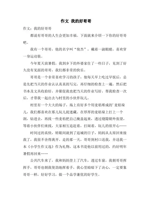 作文 我的好哥哥