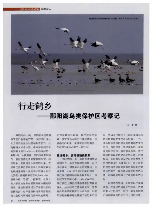 行走鹤乡——鄱阳湖鸟类保护区考察记
