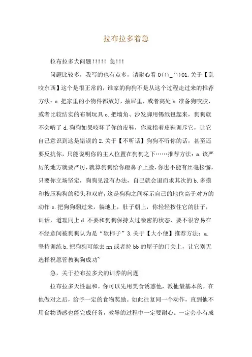 拉布拉多着急