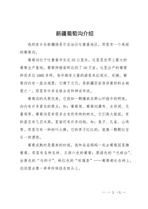 新疆葡萄沟介绍