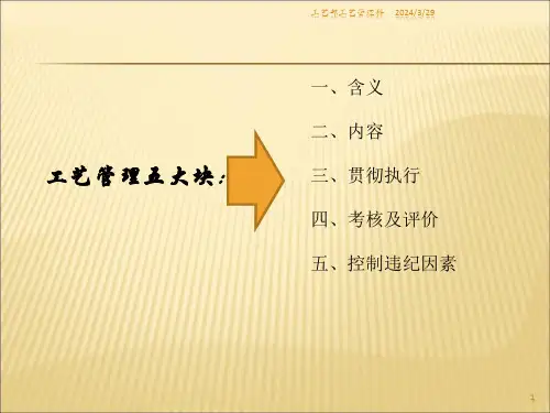 精选工艺纪律管理课件