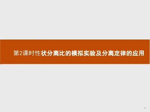 性状分离比的模拟实验及分离定律的应用课件2023-2024学年高一下学期生物人教版(2019)必修2