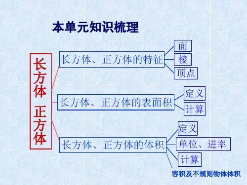 长方体和正方体整理和复习总结共19页