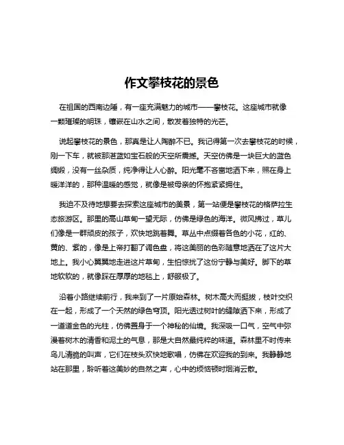 作文攀枝花的景色