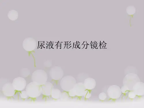 尿液有形成分镜检PPT课件