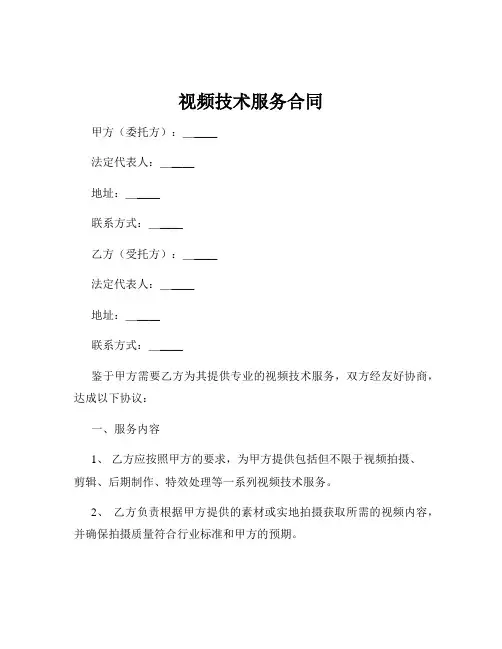 视频技术服务合同