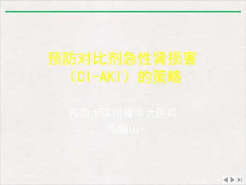 马根山预防对比剂急性肾损害(CIAKI)的策略ppt课件
