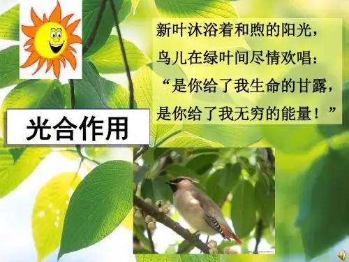 光合作用的探究历程PPT课件