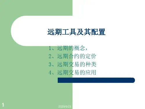武汉大学金融工程学课件——远期工具及其配置