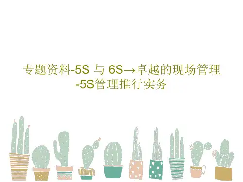 专题资料-5S 与 6S→卓越的现场管理-5S管理推行实务PPT文档113页