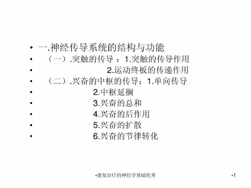 康复治疗的神经学基础优秀课件