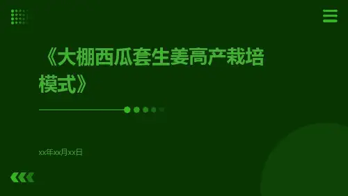 大棚西瓜套生姜高产栽培模式