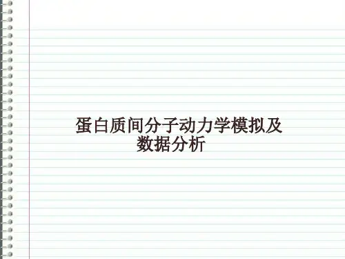 蛋白质间分子动力学模拟和数据分析报告