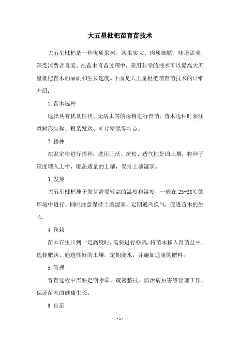 大五星枇杷苗育苗技术