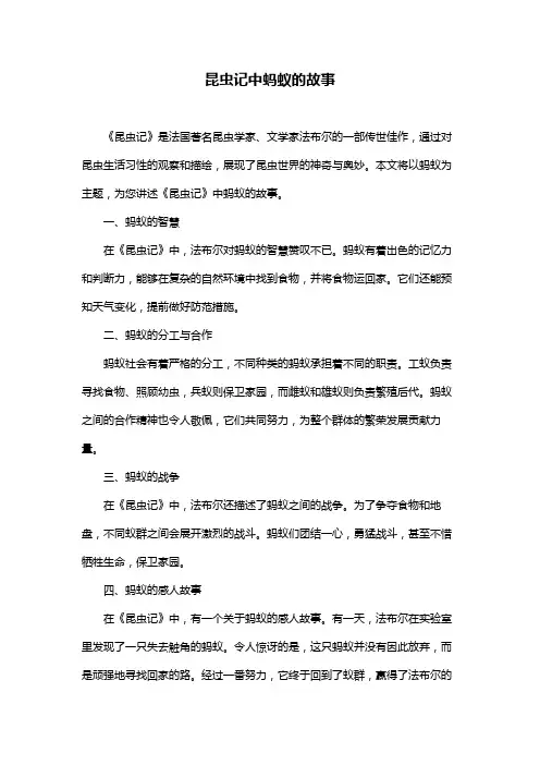 昆虫记中蚂蚁的故事