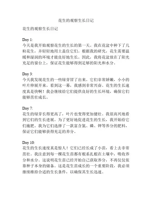 花生的观察生长日记